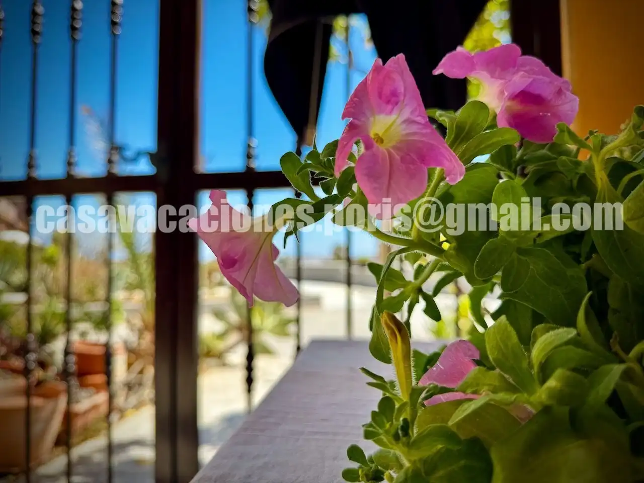 Maisonette mit Garten zum Verkauf in calle cueva el dinero 2, imagen 6