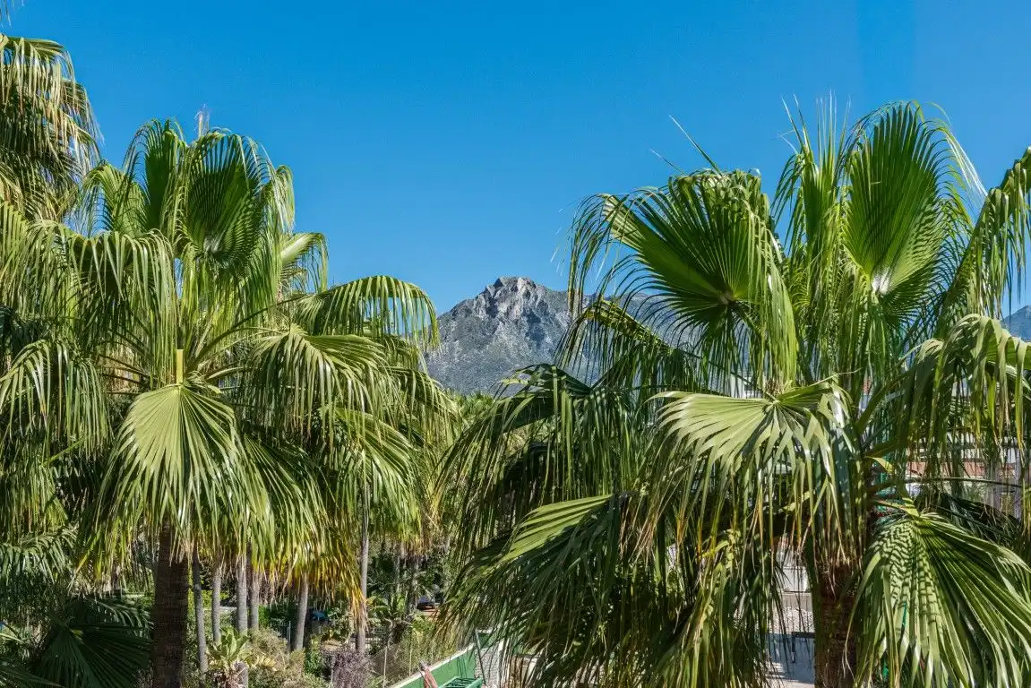 Vista exterior de Apartamento en venta en Marbella con Aire acondicionado, Calefacción y Trastero