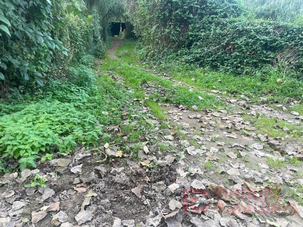 Casa o xalet en venda a Poligono 2 Paraje 15 Deveses, Veïnat