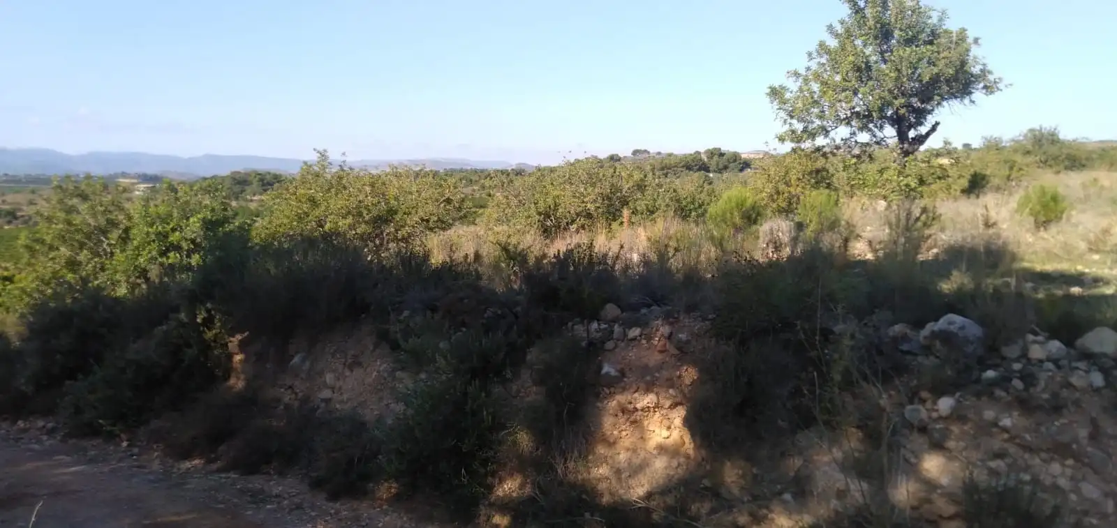 Finca rústica en venta en Pedralba con Jardín privado, Terraza y Trastero