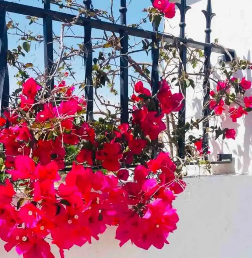 Finca rústica en venta en Plaza Elíptica - República Argentina