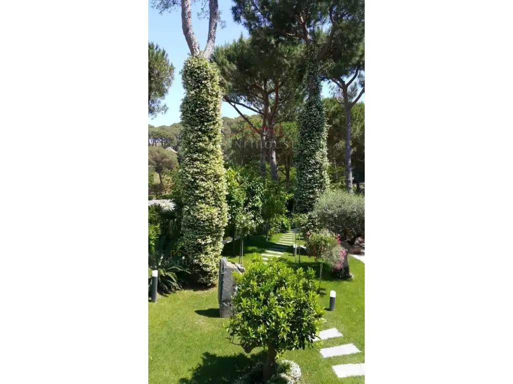 Piso en venta en Avinguda Sa Boadella, Santa Clotilde
