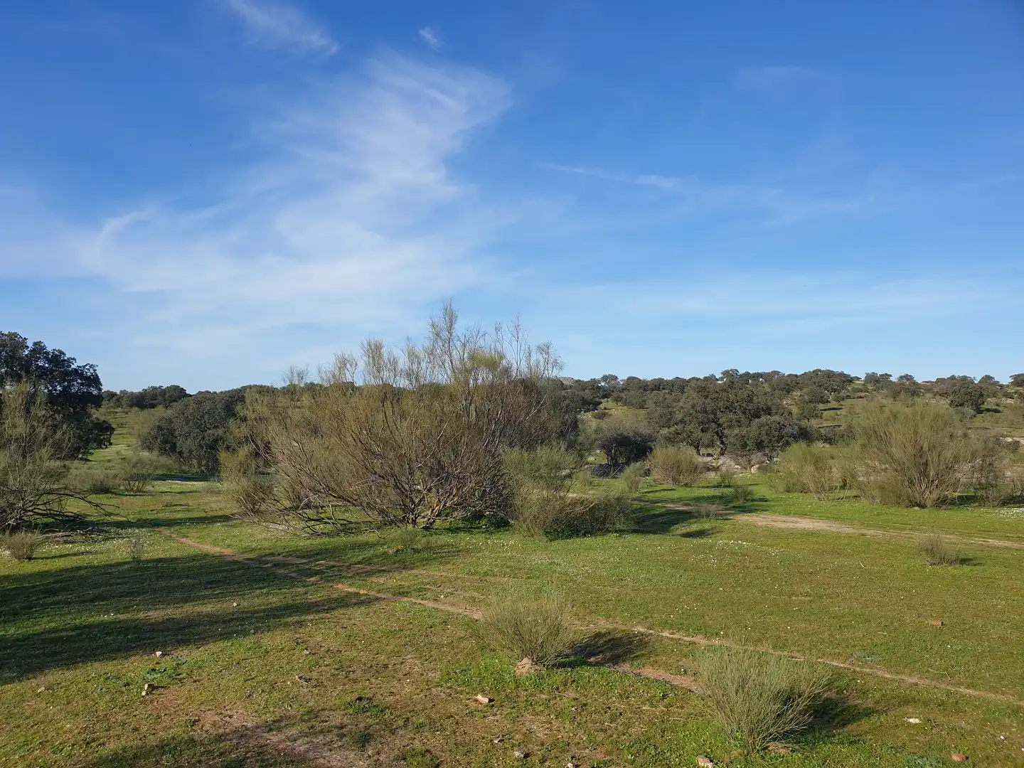 Terreni e lotti in vendita a Quintana de la Serena, imagen 5