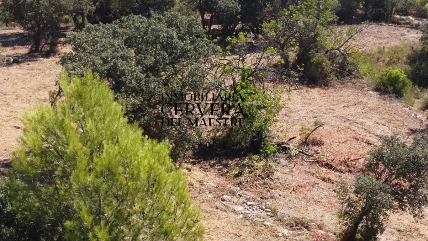 Terreno rustico in vendita a Cervera del Maestre, imagen 5