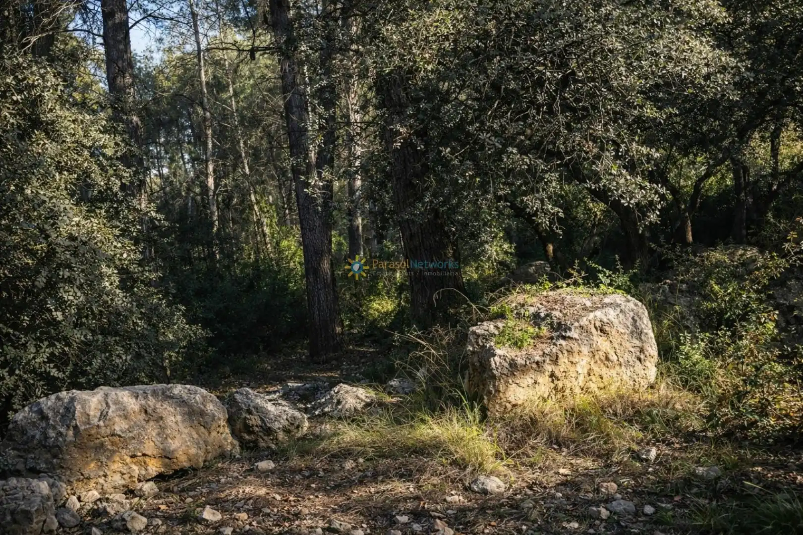 Casa rústica con jardín en venta en Muro de Alcoy, imagen 22