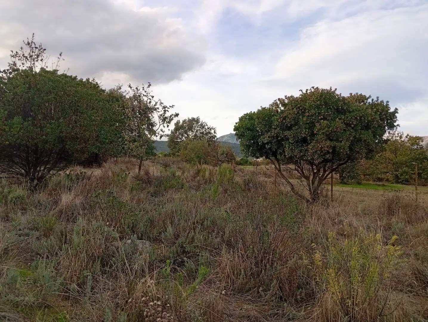 Terreni e lotti in vendita a Villanueva de la Vera, imagen 55