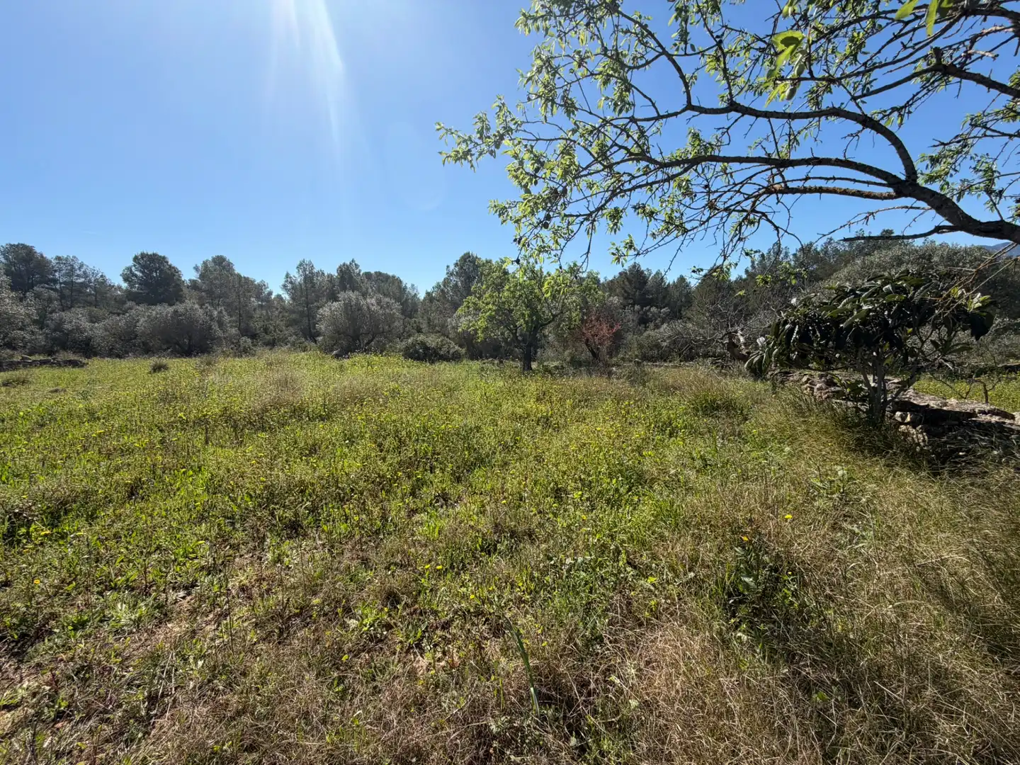 Finca rústica en venta en Tivissa