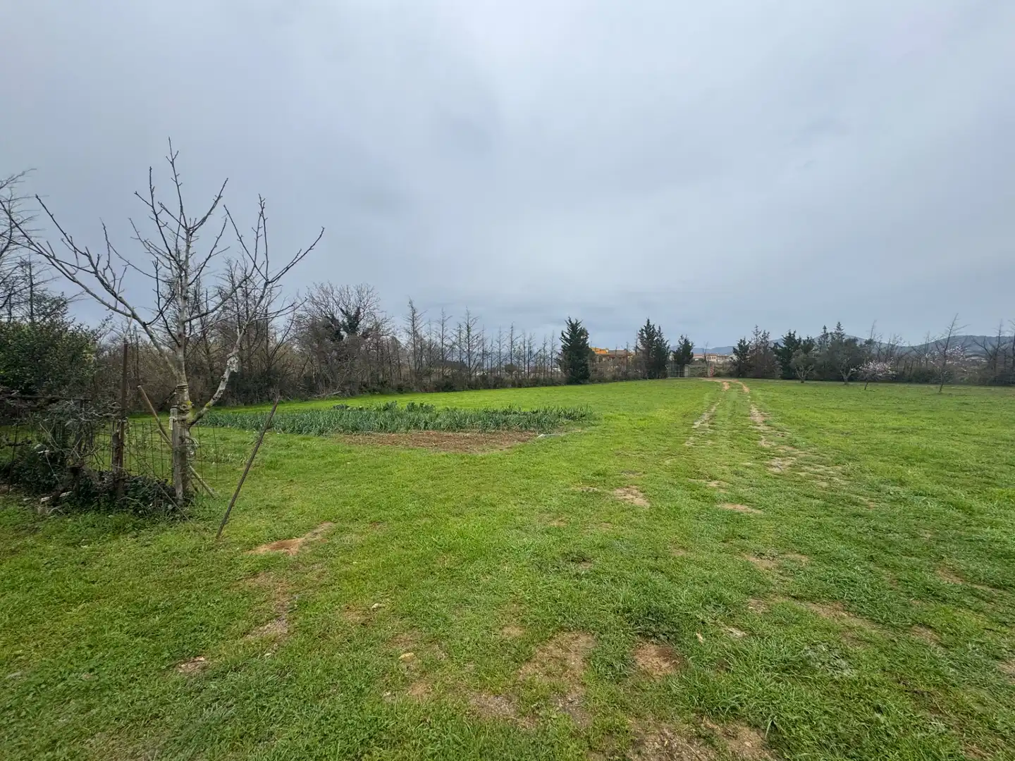 Land for sale in Garriguella