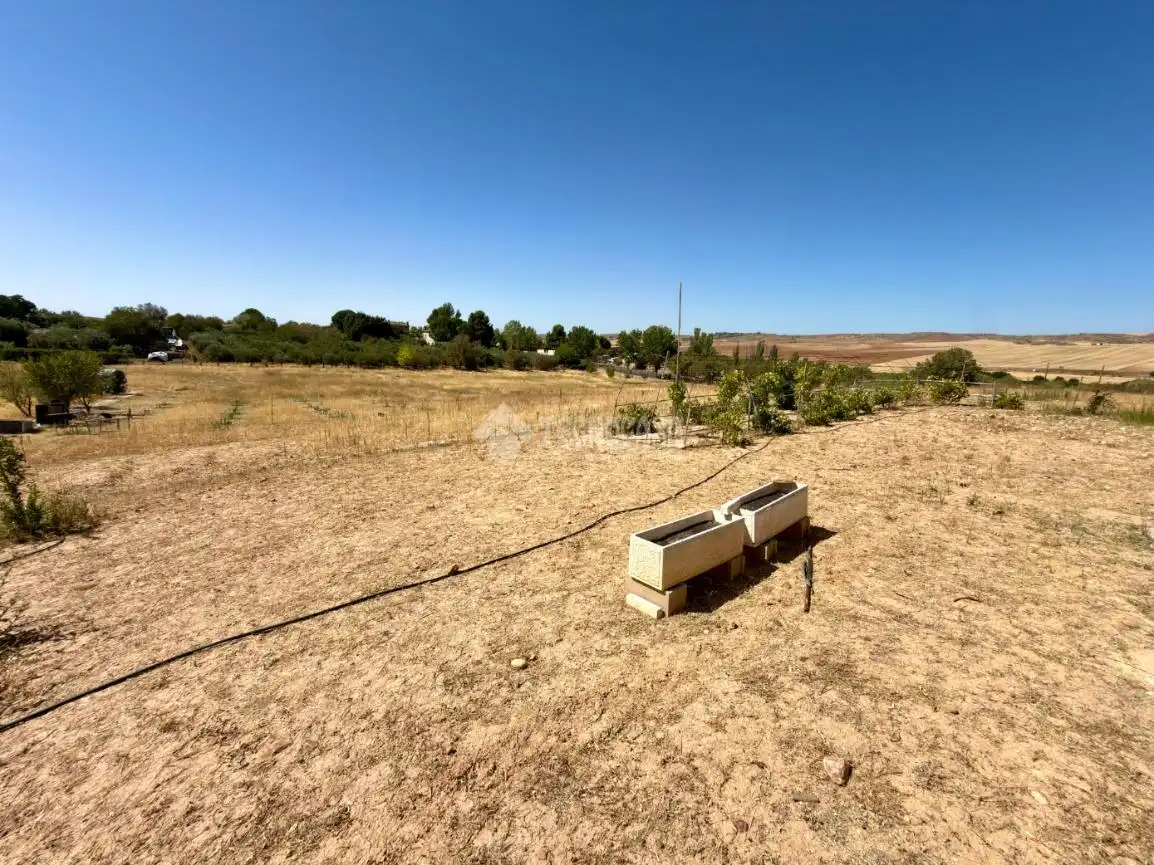 Terreny rústic en venda a Valdeavero, imagen 40