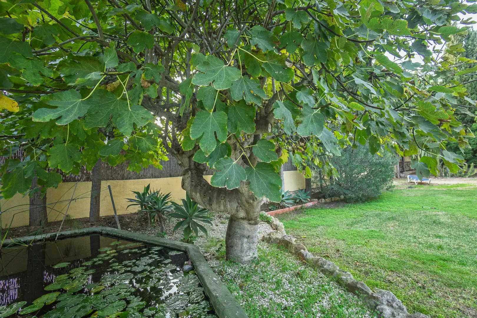 Chalet con terraza en venta en Calle Calle de Brufol-Montemar, 2, imagen 69