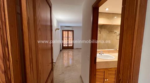 Photo 3 of Attic to rent in Arxiduc,  Palma de Mallorca