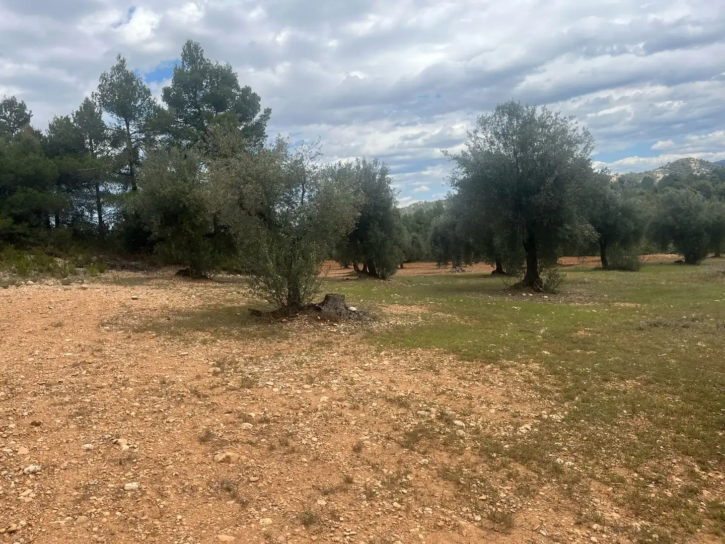Terreni e lotti in vendita a Cretas, imagen 9