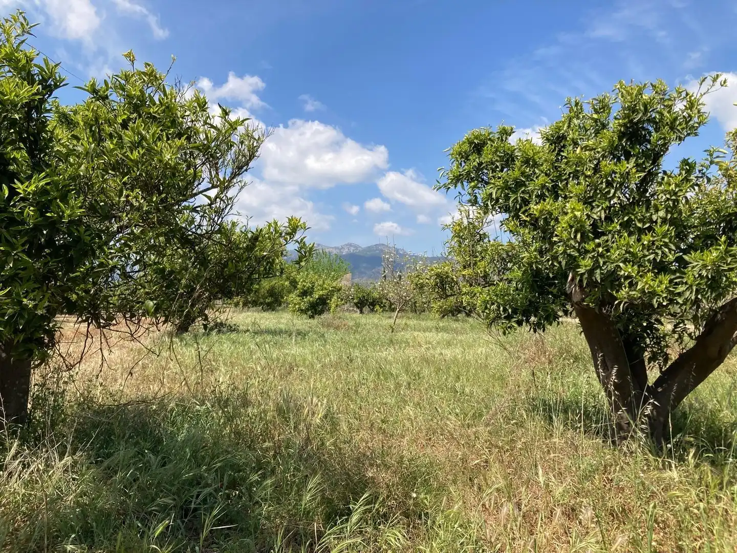 Finca rústica en venda en Xerta amb Calefacció
