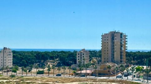 Foto 3 de Piso en venta en Carrer Jesús Lucas, 23, Puerto Deportivo, Guardamar del Segura