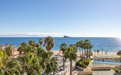 Vista exterior de Apartament en venda en Benidorm amb Terrassa, Traster i Piscina comunitària