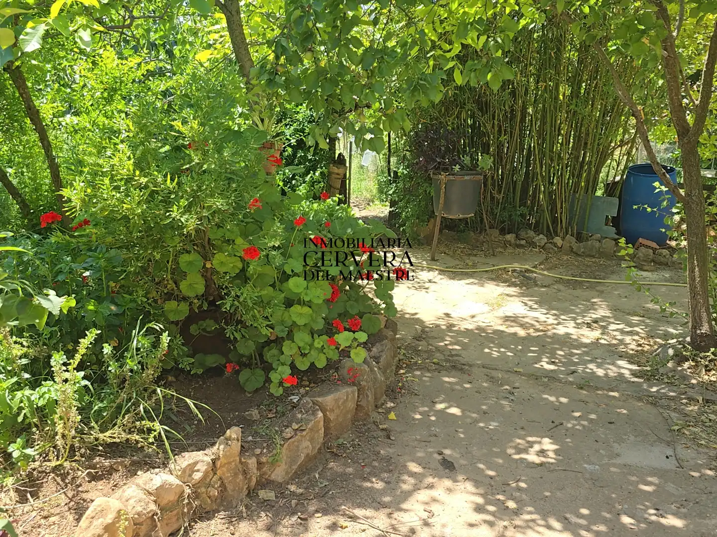 Garden of Houses for sale in La Torre d'en Besora