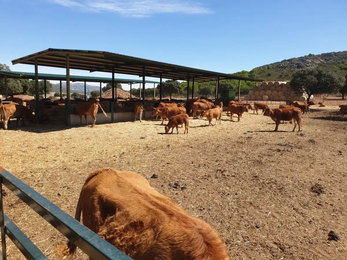 Finca rústica en venda a Área Rural-Valverde-Las Casas