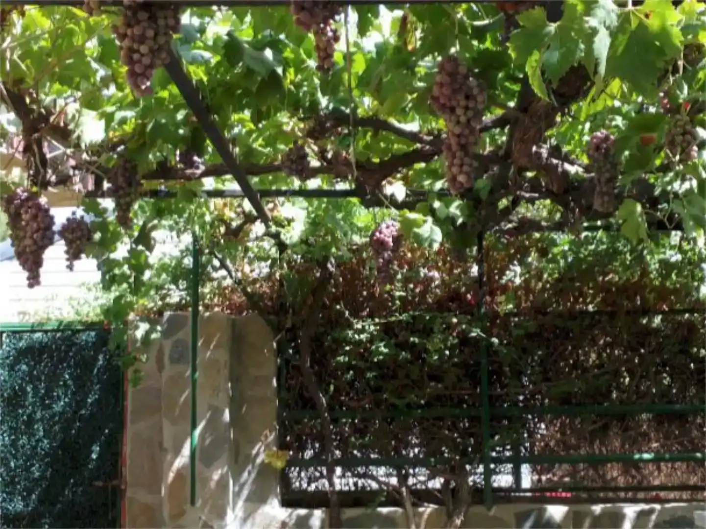 Jardí de Casa o xalet en venda en Escalona, Toledo