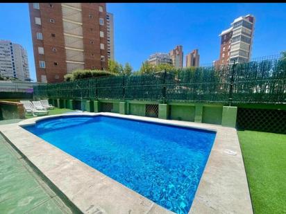 Piscina de Apartament en venda en Benidorm amb Aire condicionat, Terrassa i Piscina comunitària