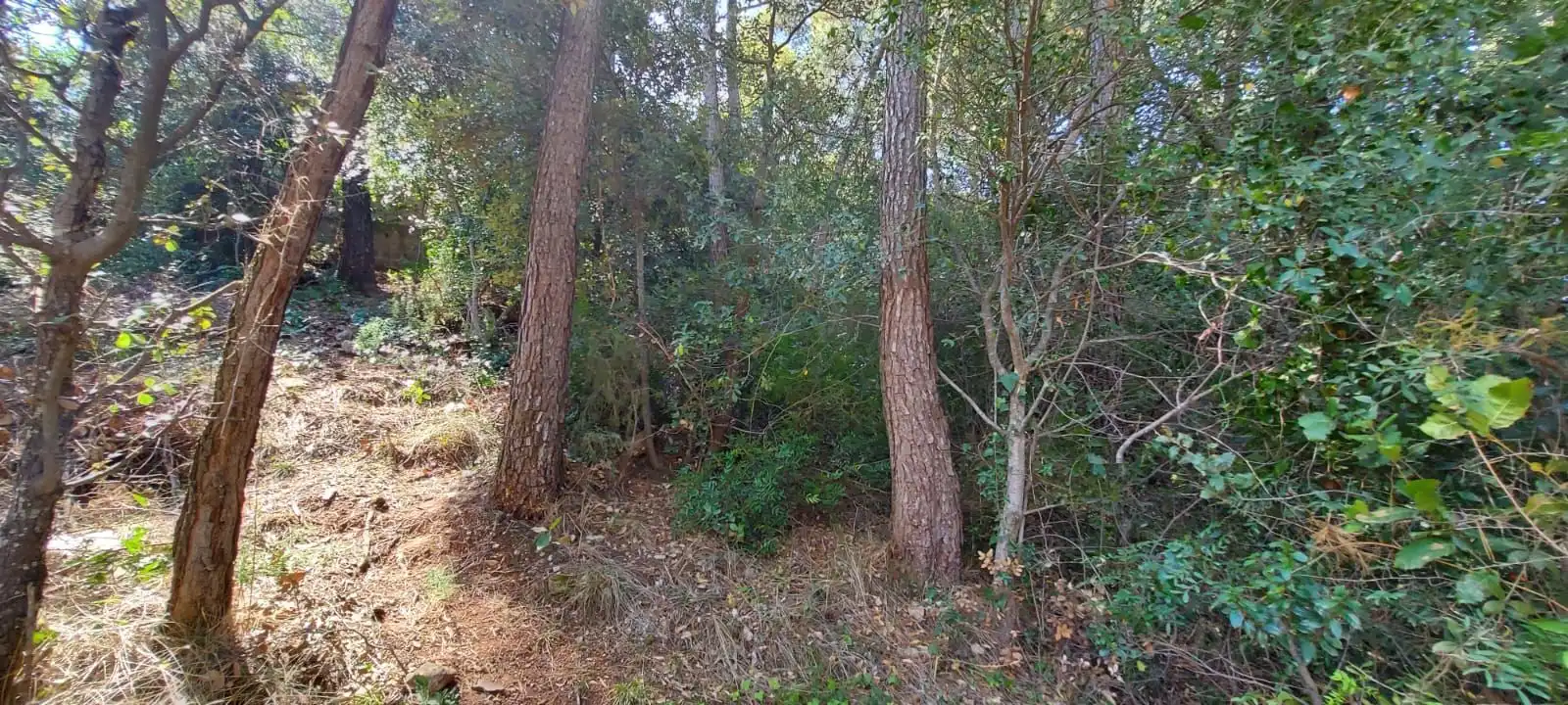 Terrenos y solares en venta en Airesol, imagen 2