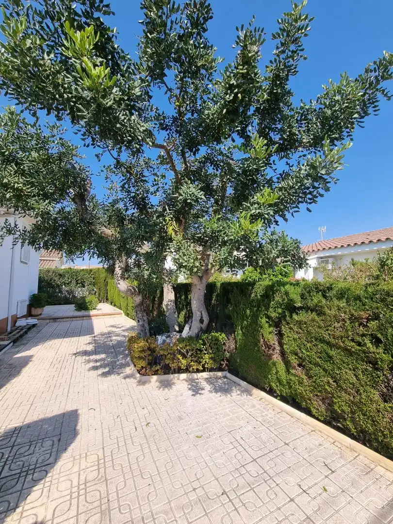 House with garden for sale in Miami Platja, imagen 28