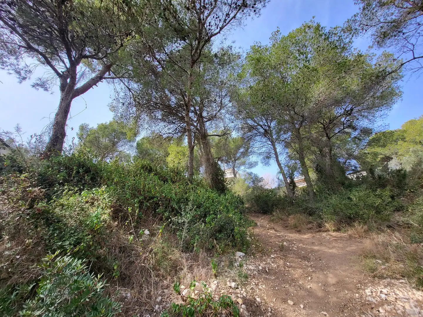 Terrenys i solars en venda a Segur de Calafell, imagen 5