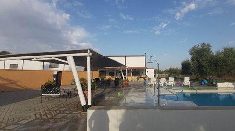 FINCA EN VENTA A 3 MINUTOS DE UTRERA  INVERSIÓN CON RENTABILIDAD INMEDIATA