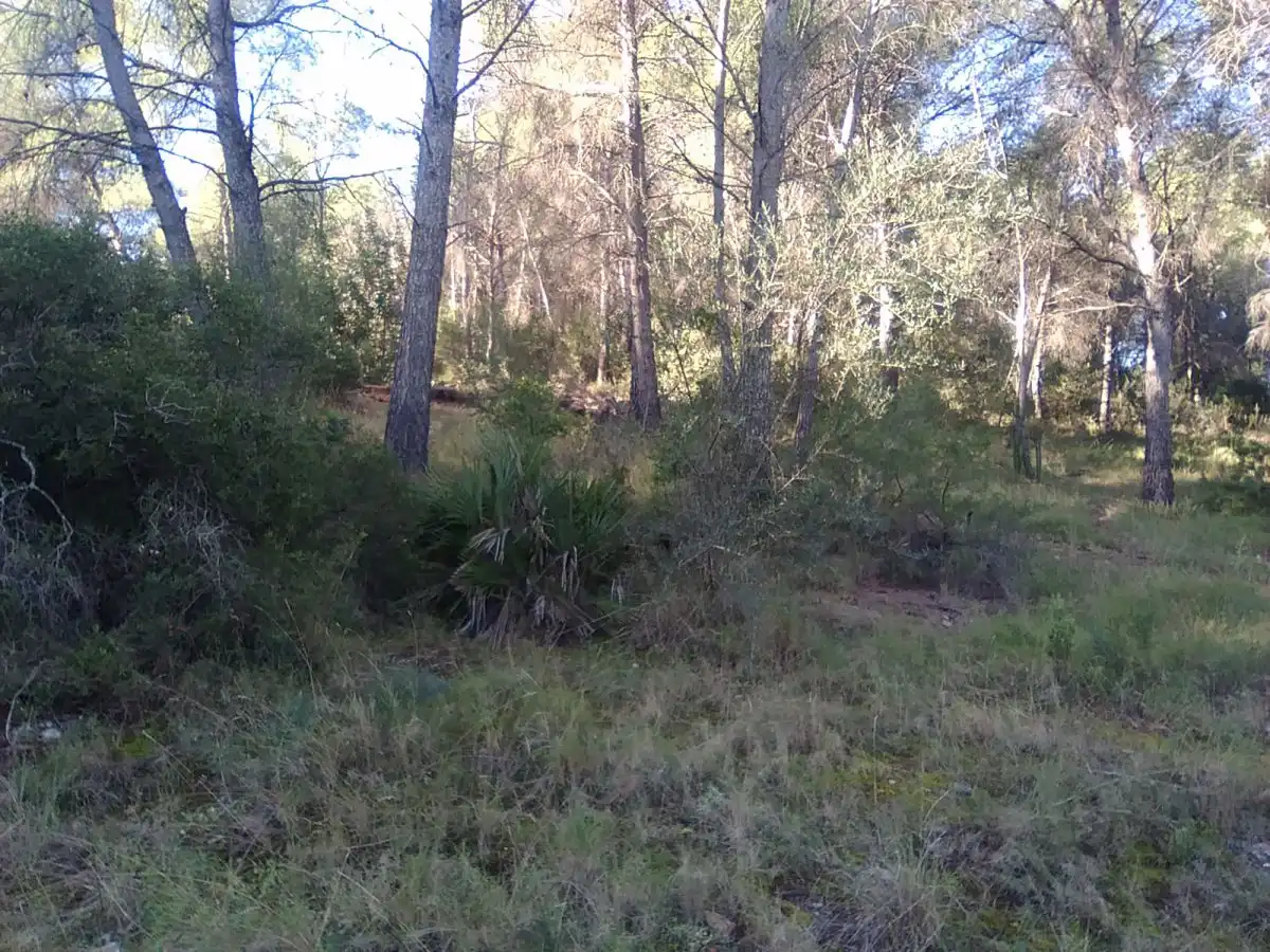 Terrenys i solars en venda a Estivella, imagen 3