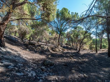Terreno residenziale in vendita a San Martín de Valdeiglesias