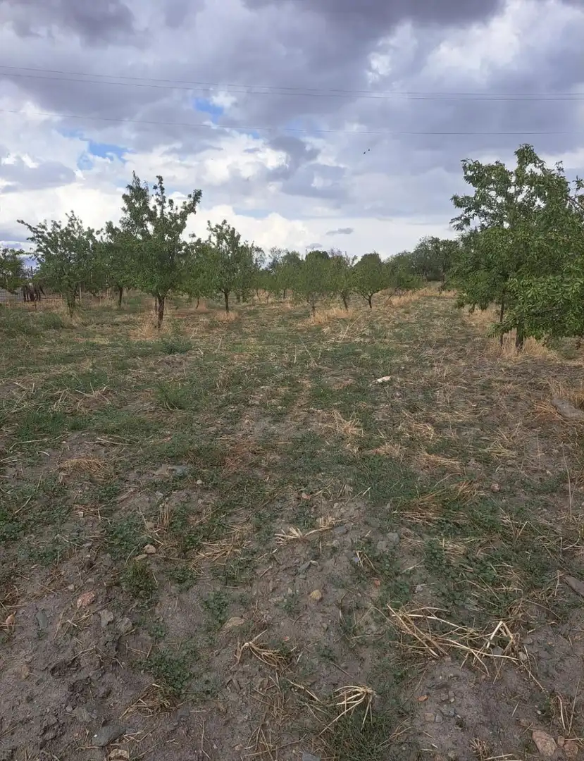 Lands and plots for sale in Lanteira, imagen 3