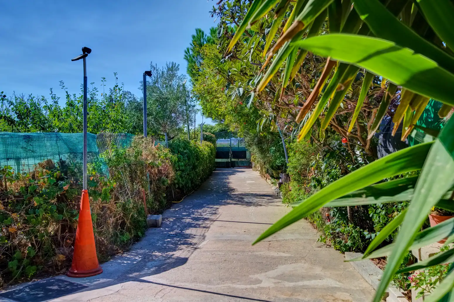 Casa con piscina en venta en Paraje LA GLERA, imagen 76