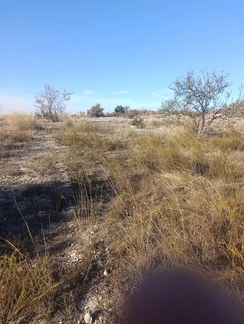 Industrial land for sale in Bullas, Murcia