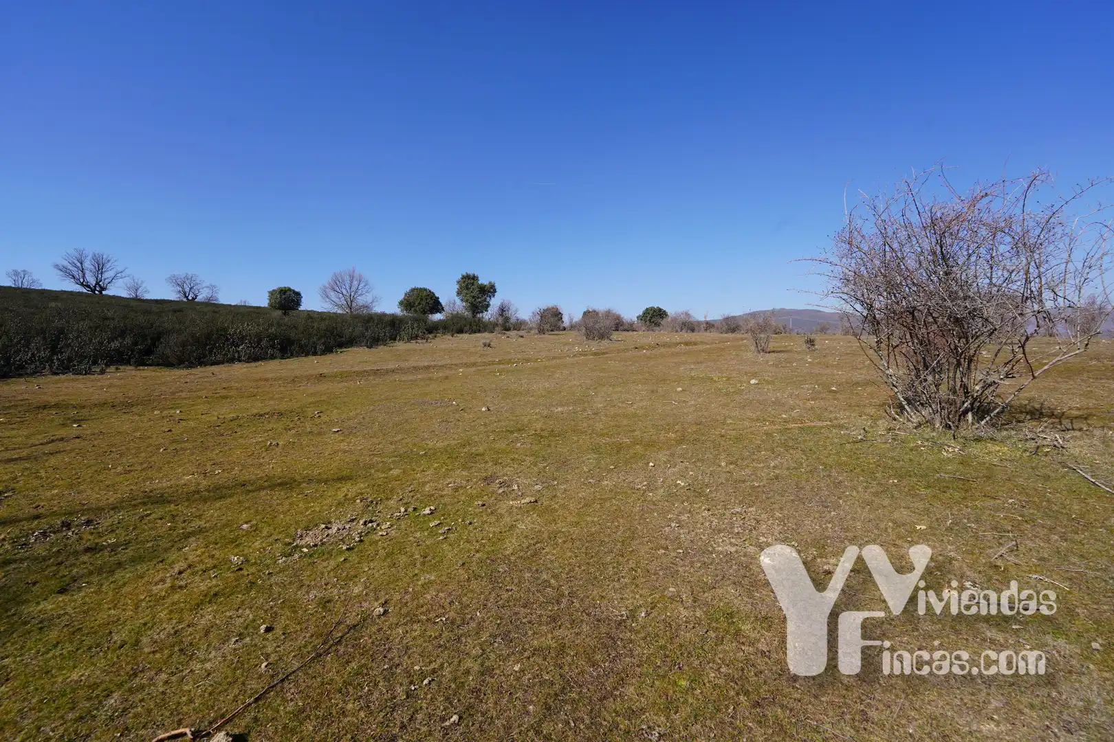 Terreno rústico en venta en Campillo de Ranas, imagen 3