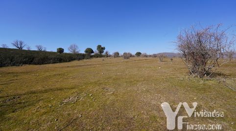 Campillo de Ranas (Guadalajara) lote de cinco fincas rústicas, buena oportunidad para invertir., imagen 3