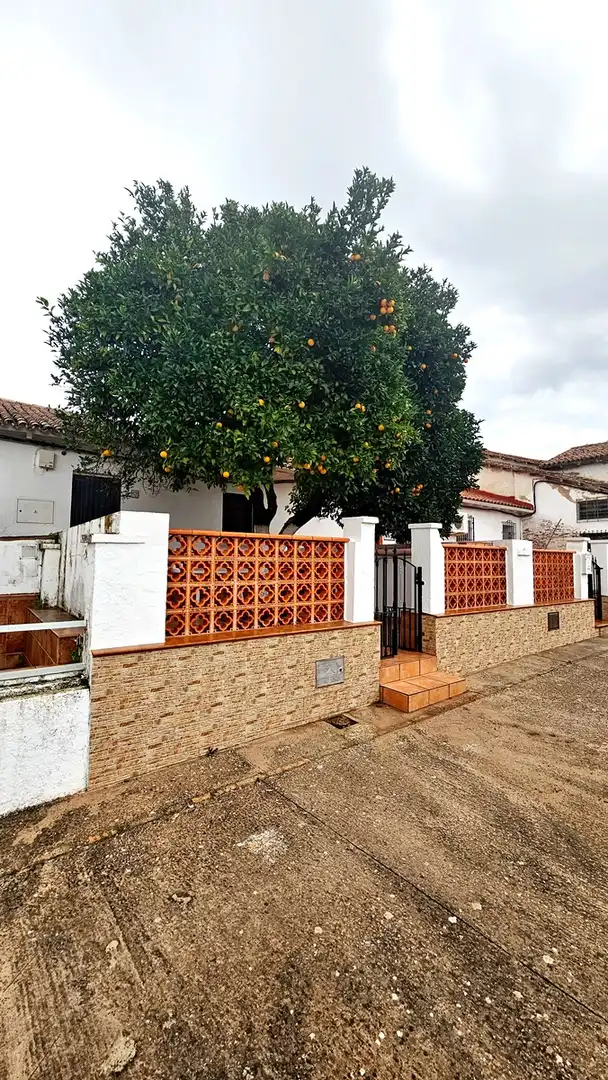 Vista exterior de Casa o chalet en venta en Almonaster la Real con Amueblado