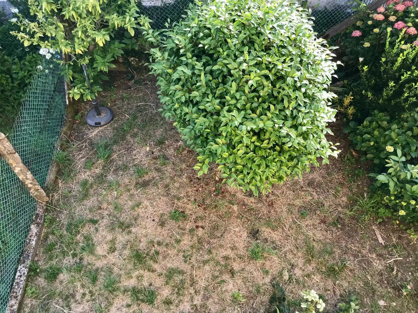Jardí de Casa o xalet en venda en Noia amb Balcó
