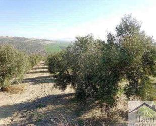 Finca rústica en venda en Linares