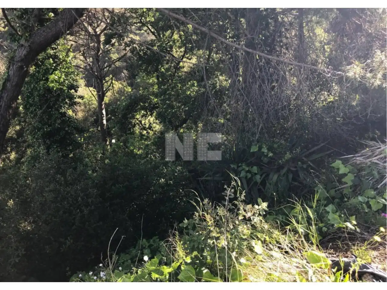 Residential land for sale in Vilanova del Vallès, imagen 8