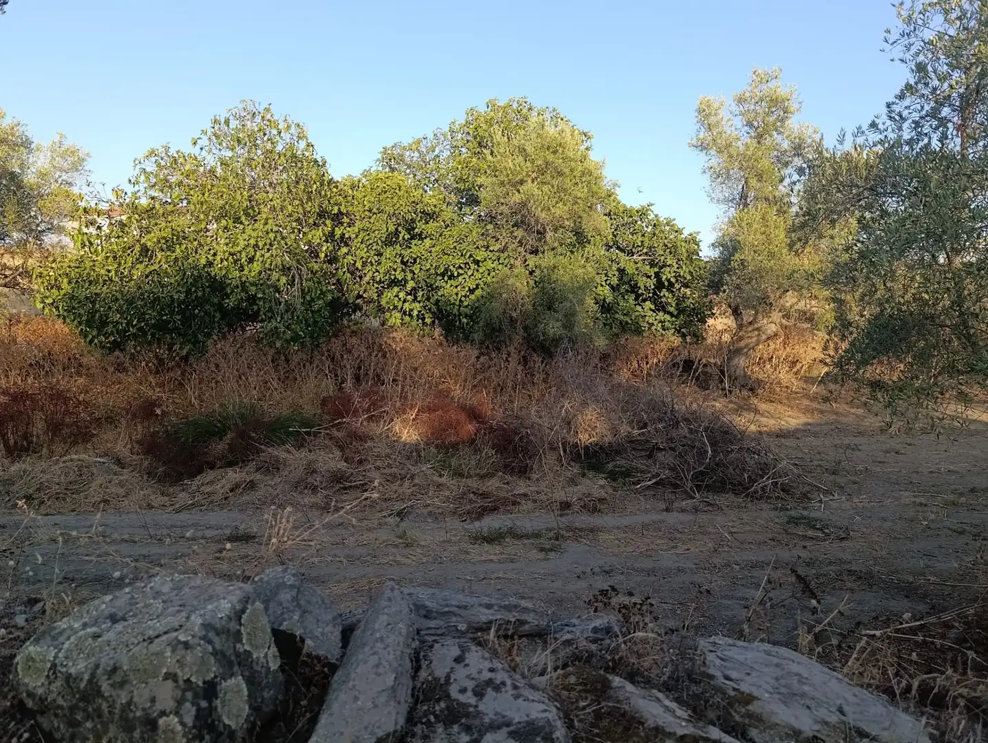 Rural land for sale in Calle Medina 14, imagen 3