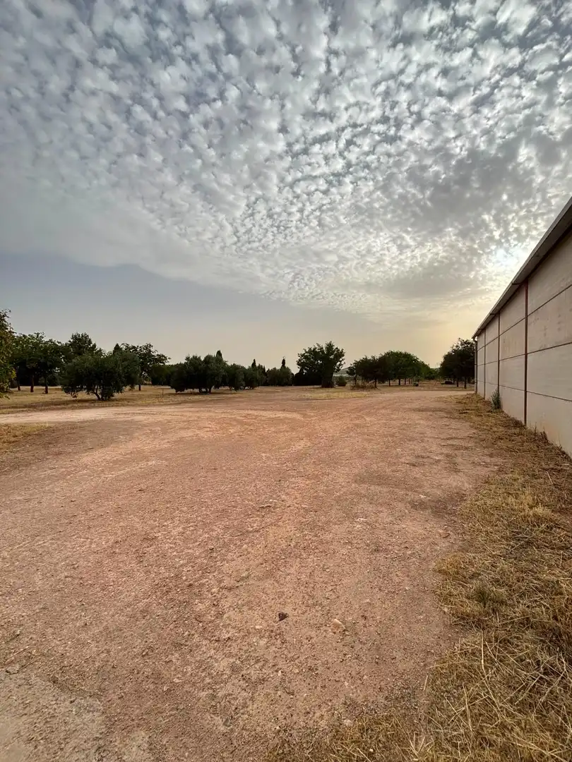 Nave industrielle à vendre à Valdepeñas, imagen 6