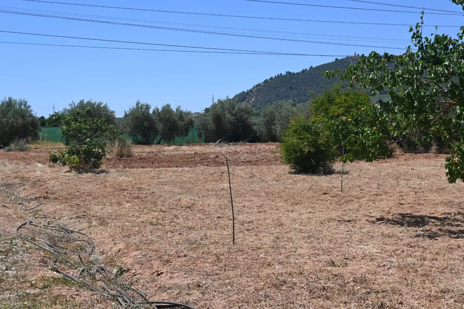 Terreni e lotti in vendita a Albolote, imagen 4