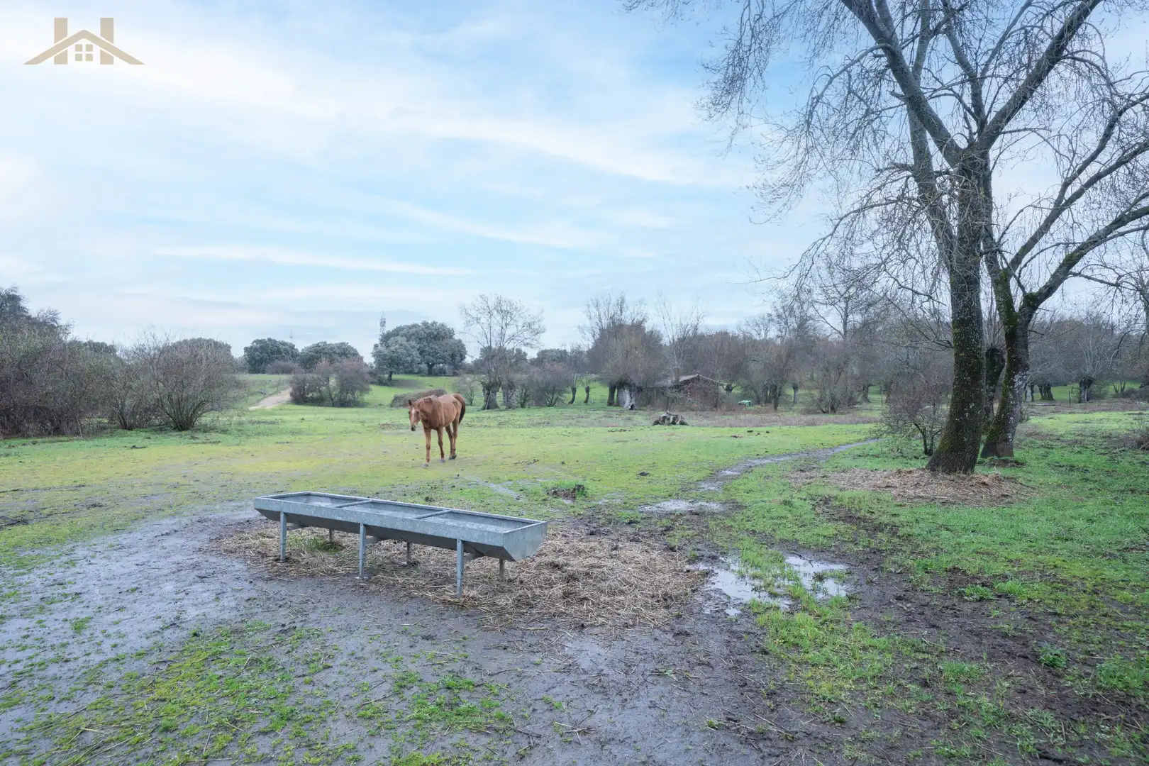 Terreno en venta en San Lorenzo de El Escorial