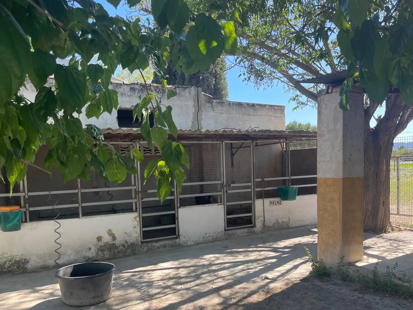 Maison rustique avec piscine à vendre à Desamparados - Hurchillo - Torremendo, imagen 10