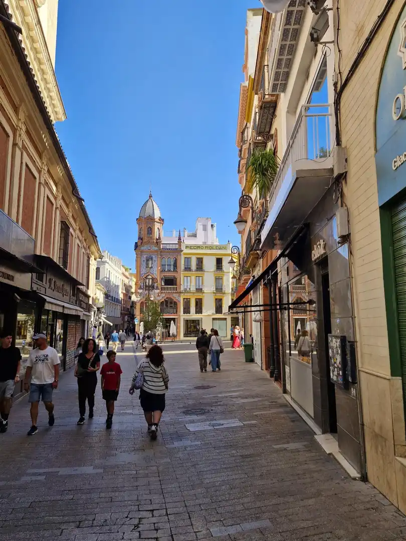 Vista exterior de Pis en venda en Sevilla amb Aire condicionat i Balcó