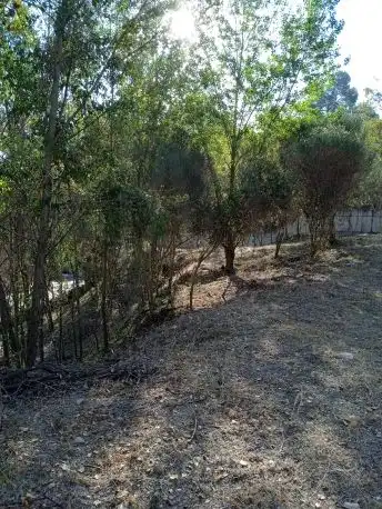 Residential land for sale in Can Font - Ca n'Avellaneda, imagen 5