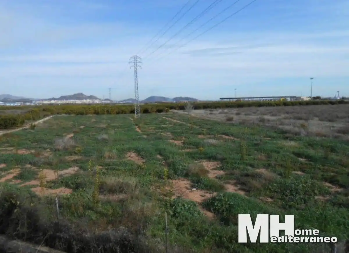 Terrain rustique à vendre à Puerto de Sagunto, imagen 5