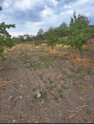 Terreno en Venta en Lanteira