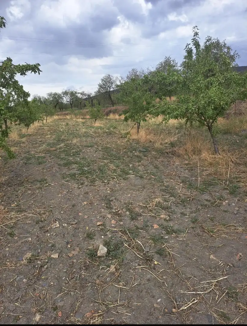 Lands and plots for sale in Lanteira