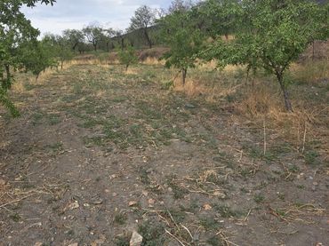 Terreno rústico en venta en Lanteira