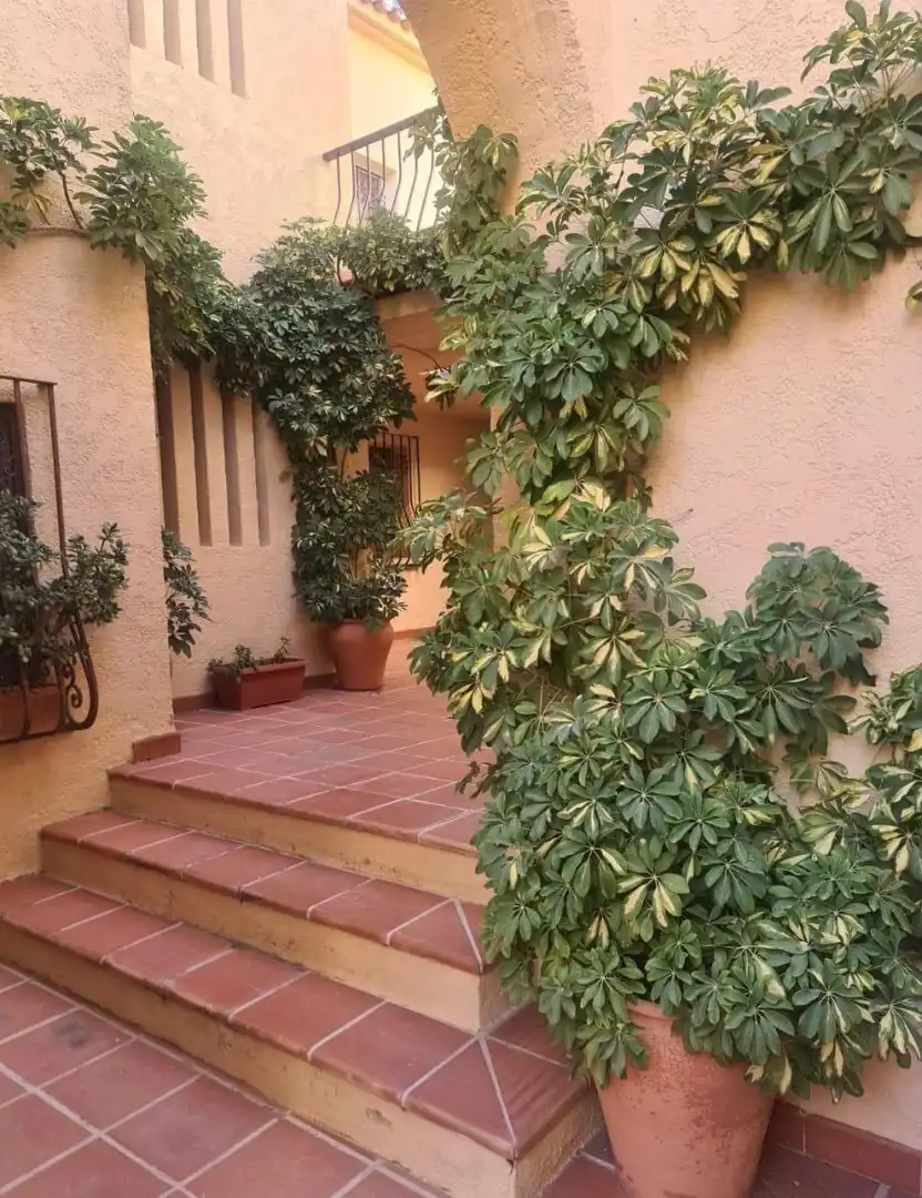 Apartament amb piscina de lloguer a Mascarat, imagen 19